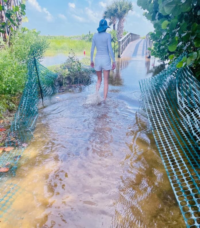 Sygaldry 139 Milyon Dollar Toplayır: AI İnfrastrukturuna İqlim Kapitalı - wecom.az