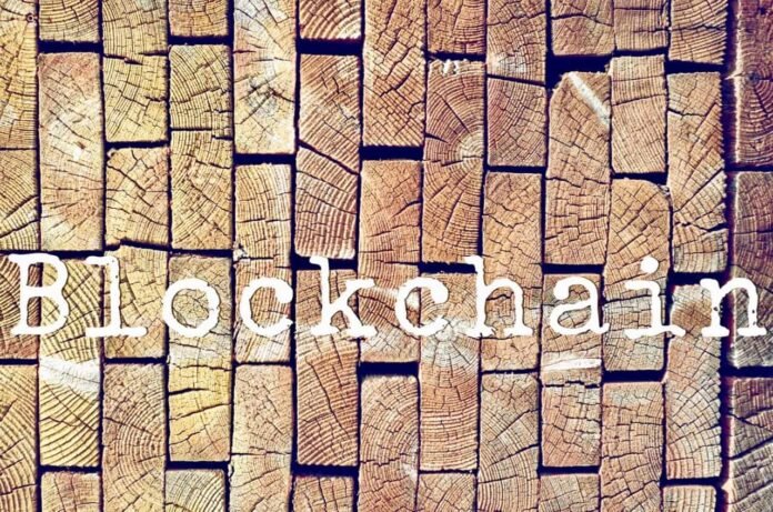 Circle USDC Cross-Chain Ödənişlər üçün Yeni Protokol Təqdim Etdi - wecom.az