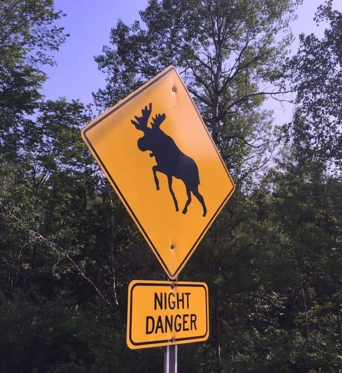 Early Warning Certos-u təqdim etdi: Zelle arxasındakı şirkətdən yeni fırıldaqçılıq platforması - wecom.az