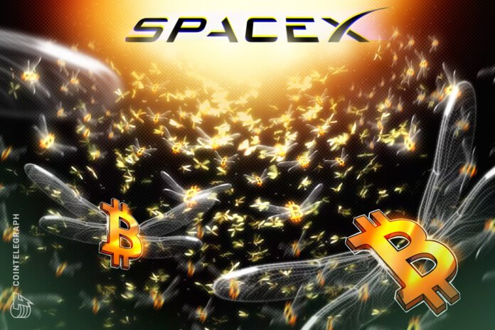SpaceX IPO sənədində gözləniləndən çox Bitcoin saxlanması aşkarlandı - wecom.az