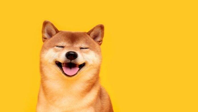 Bitcoin 60.000 dollara yaxınlaşır: Dogecoin və Shiba Inu 9% ucuzlaşdı - wecom.az