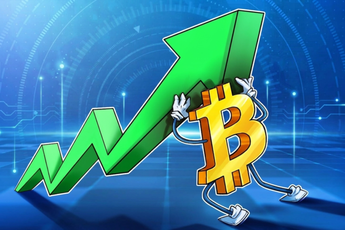 Bitcoin ETF-ləri beş gün ardıcıl giriş gördü, ən uzun müddət bəri - wecom.az