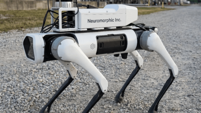 Süni intellekt dəstəkli otonom robot sistemləri inkişaf etdirən startup: Neuromorphic - wecom.az