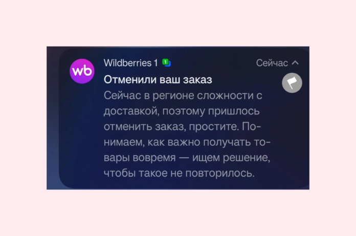 Wildberries sifariş ləğvləri: Rusiyada yanacaq böhranı səbəb göstərildi - wecom.az