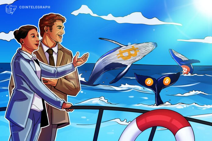 Bitcoin balinaları BTC qiymətini 64 min dollara qaldırdı: Coinbase Premium göstəricisi - wecom.az