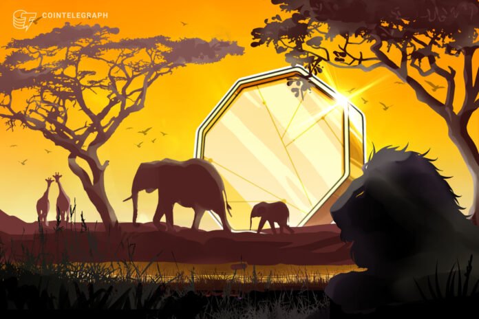 Zimbabve yeddi fintech layihəsini tənzimləmə sandboxuna qəbul etdi - wecom.az