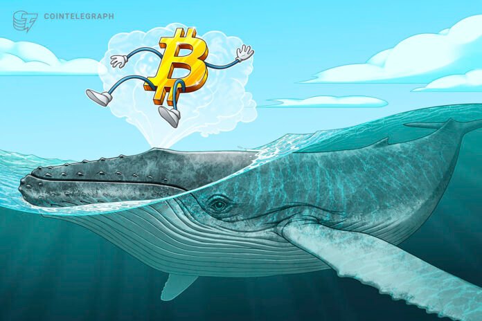 Kripto balinaları ayı bazarının son mərhələsində toplanır - wecom.az