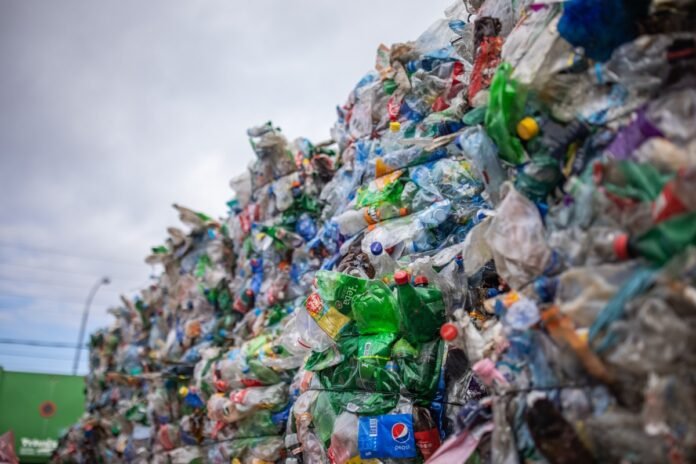 Meta plastik təkrar emalı startupu MacroCycle ilə ilk fabrikini quracaq - wecom.az