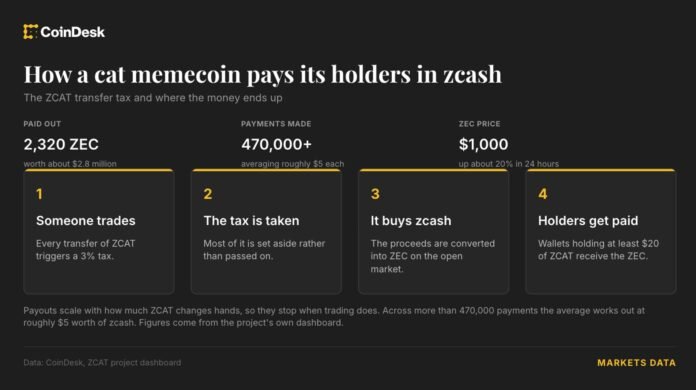 Pişik memecoin Zcash sahiblərinə 2,8 milyon dollar ödəyib - wecom.az