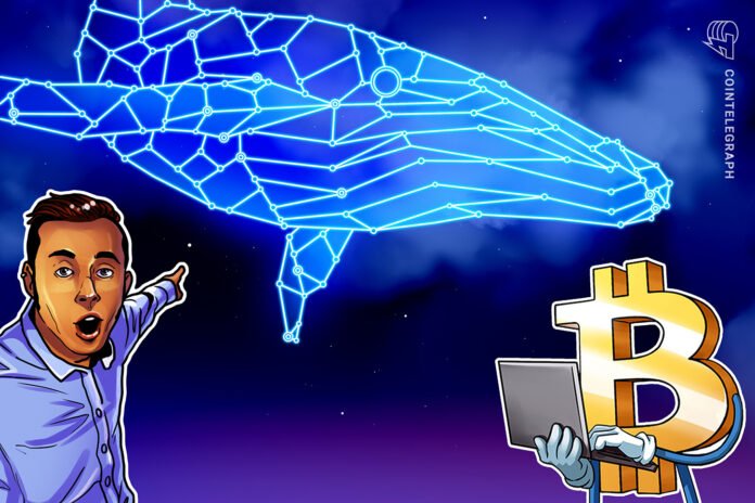 Yeni Bitcoin balinaları satış riskini artırır - wecom.az