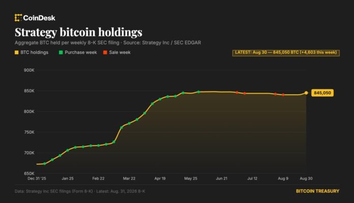 Strategy yenidən bitcoin alışına qayıtdı: ötən həftə 370 milyon dollarlıq BTC əldə edib - wecom.az